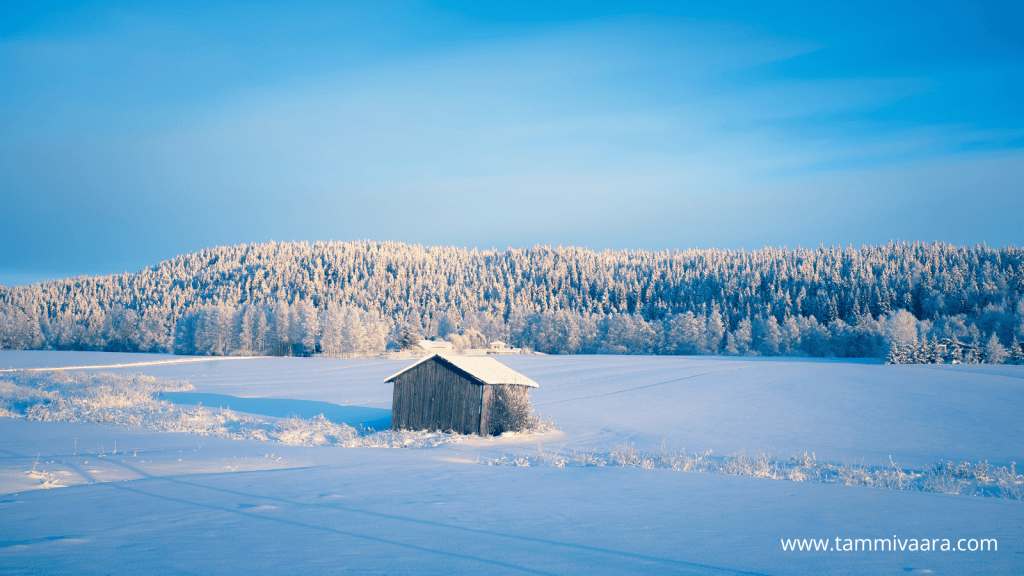 A beautiful Finnish wintery landscape.